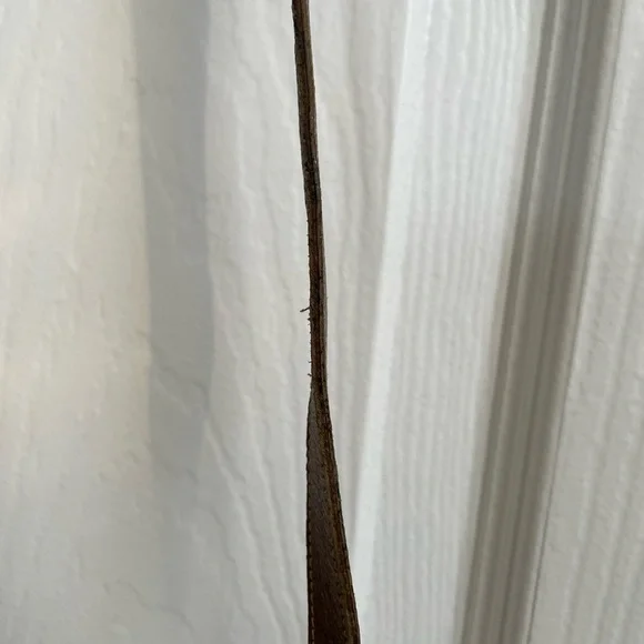 Gucci Beige and Brown GG Crossbody Bag - Picture 4 of 15